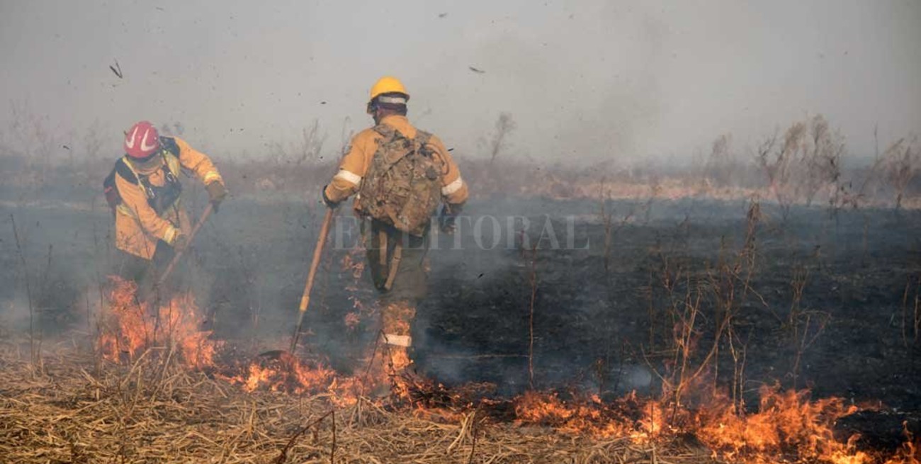 Piden políticas de Estado para frenar incendios en el valle aluvial del Paraná