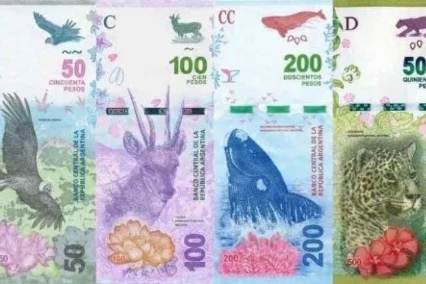 ELLITORAL_355460 |  Gentileza