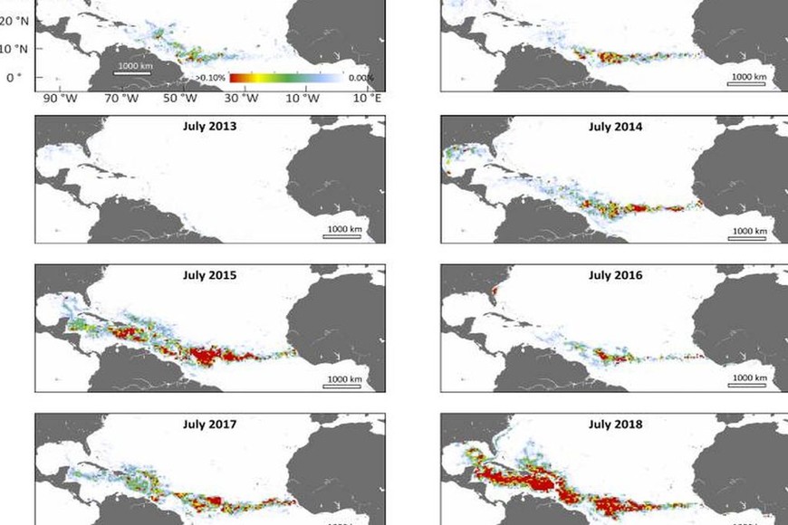ELLITORAL_253009 |   EP