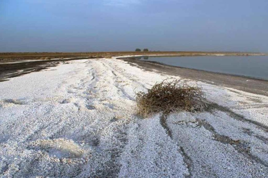 ELLITORAL_305076 |  Gentileza