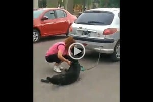 ELLITORAL_339210 |  Captura digital