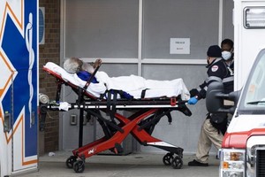 ELLITORAL_342752 |  Gentileza