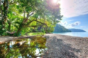 ELLITORAL_316506 |  dpa