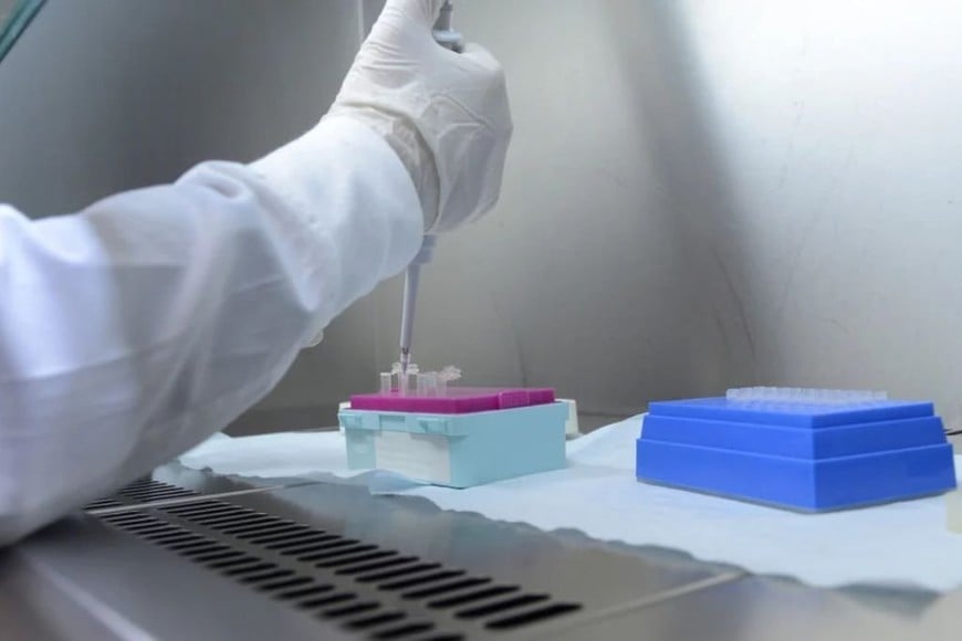 ELLITORAL_291552 |  Gentileza