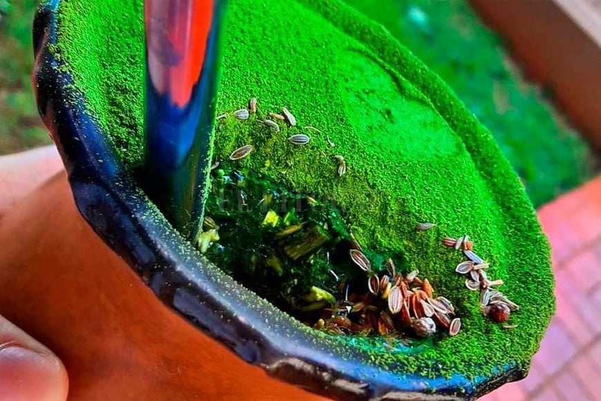 ELLITORAL_252490 |  Gentileza Mate brasileño