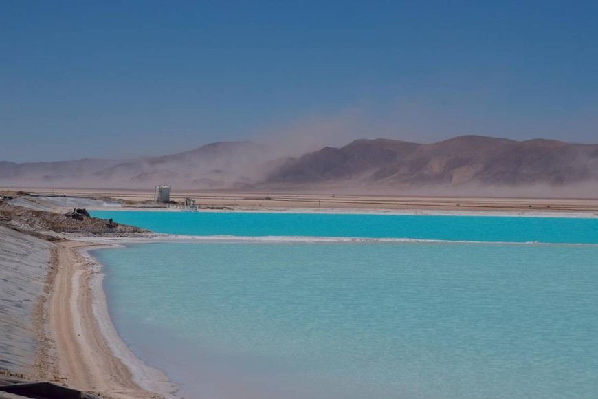 ELLITORAL_267906 |  Gentileza