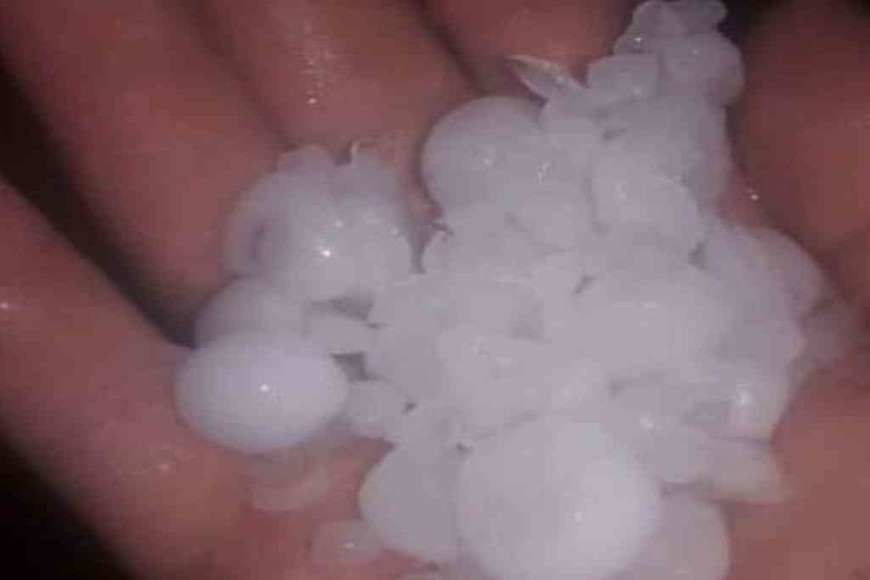 ELLITORAL_359469 | Gentileza