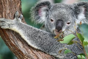 ELLITORAL_366910 |  Gentileza