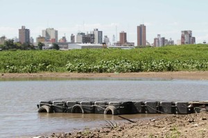 ELLITORAL_274928 |  Pablo Aguirre Marina. Está en la bajada de los boteros, frente a los elevadores de granos del Puerto.