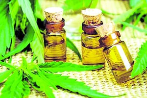 Al intentar regularlo, el proyecto propone descriminalizar una práctica para que el abordaje sea más adecuado.