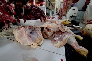 ELLITORAL_272990 |  Archivo El Litoral