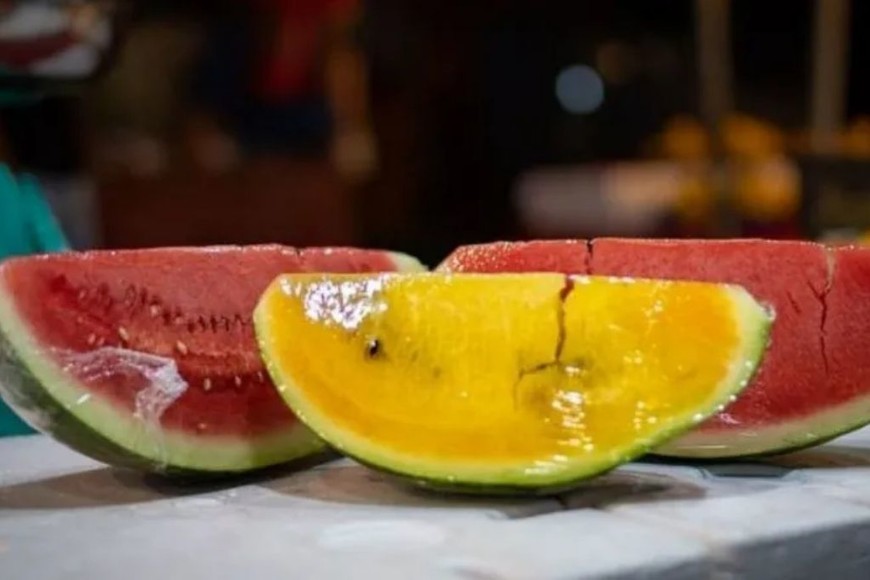 ELLITORAL_350118 |  Gentileza