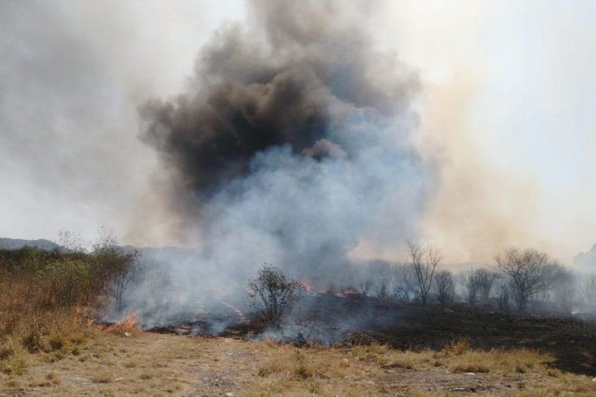 ELLITORAL_337531 |  Gentileza