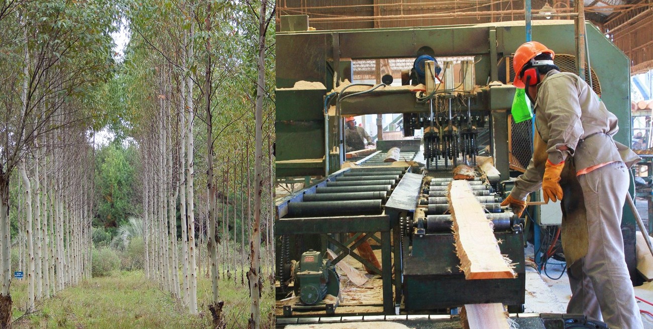 Entidades empresarias conformaron el Consejo Foresto Industrial Argentino