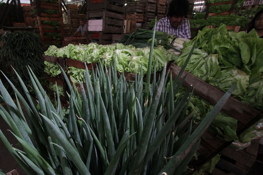 ELLITORAL_317288 |  Mauricio Garín