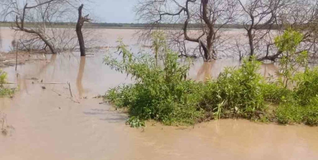Salta: desbordó el río Bermejo y dejó a familias aisladas