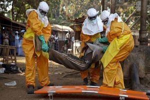 ELLITORAL_358121 |  Captura de pantalla