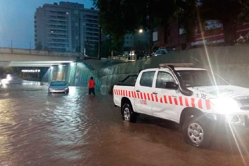 ELLITORAL_353085 |  Gentileza