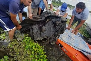 ELLITORAL_352596 |  Captura de pantalla