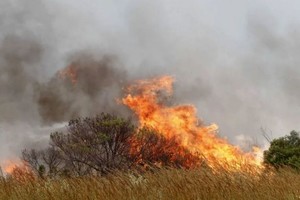 ELLITORAL_344905 |  Gentileza