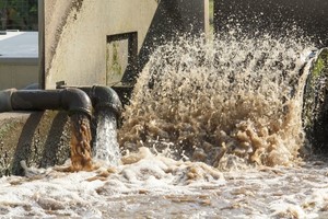 ELLITORAL_356058 |  Gentileza