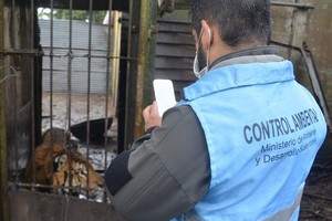 ELLITORAL_348494 |  Captura de pantalla