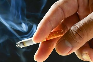 ELLITORAL_353474 |  Gentileza