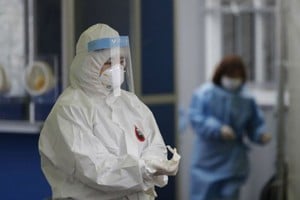 ELLITORAL_347015 |  Gentileza