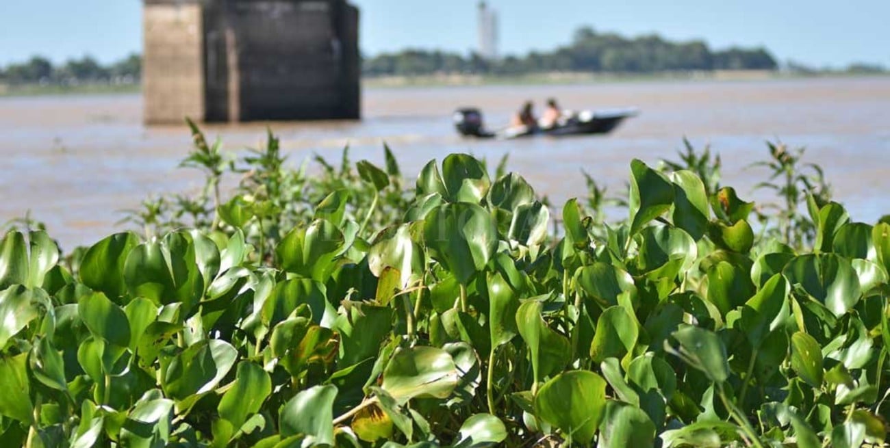 Sube el Río Paraná y vuelve a cambiar el paisaje costero en Santa Fe