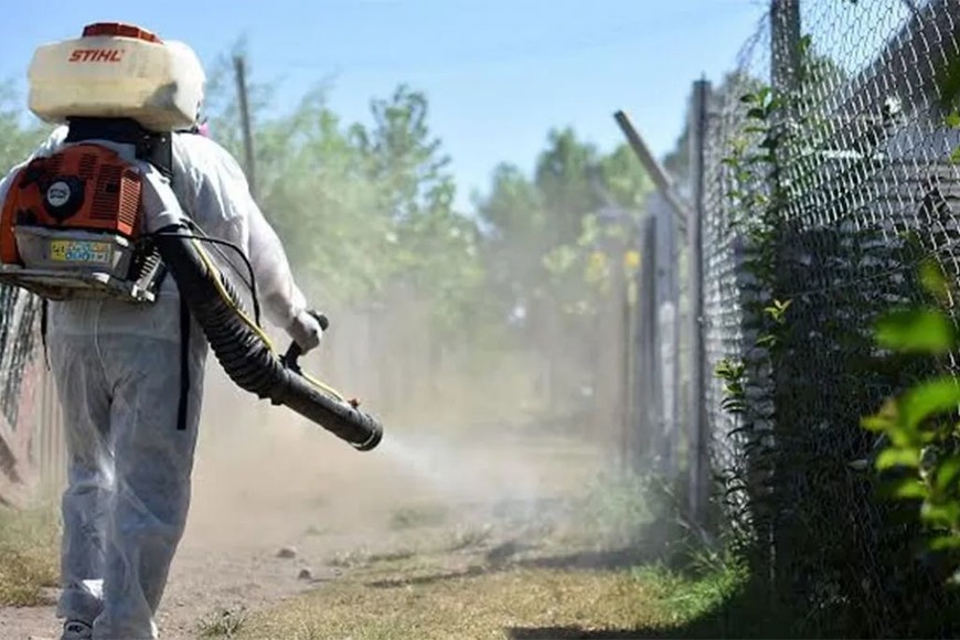 ELLITORAL_304213 | Gentileza