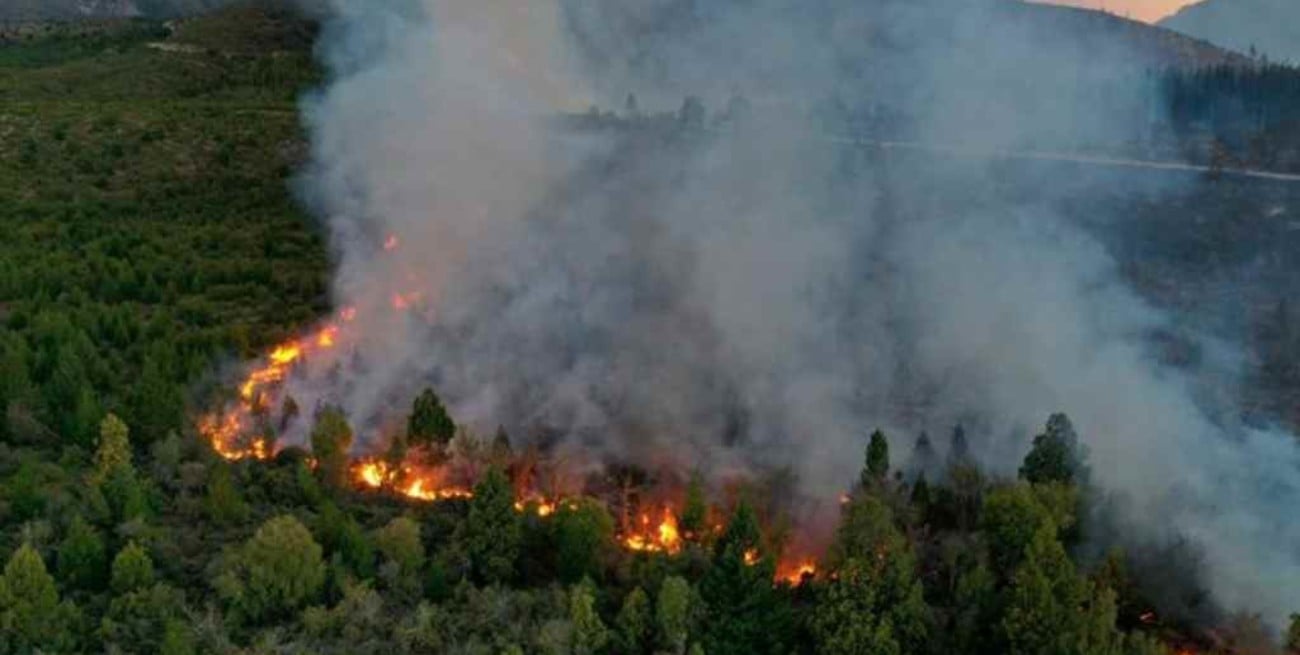 Un incendio sin control ya arrasó más de 2.000 hectáreas cerca de El Bolsón y genera preocupación 