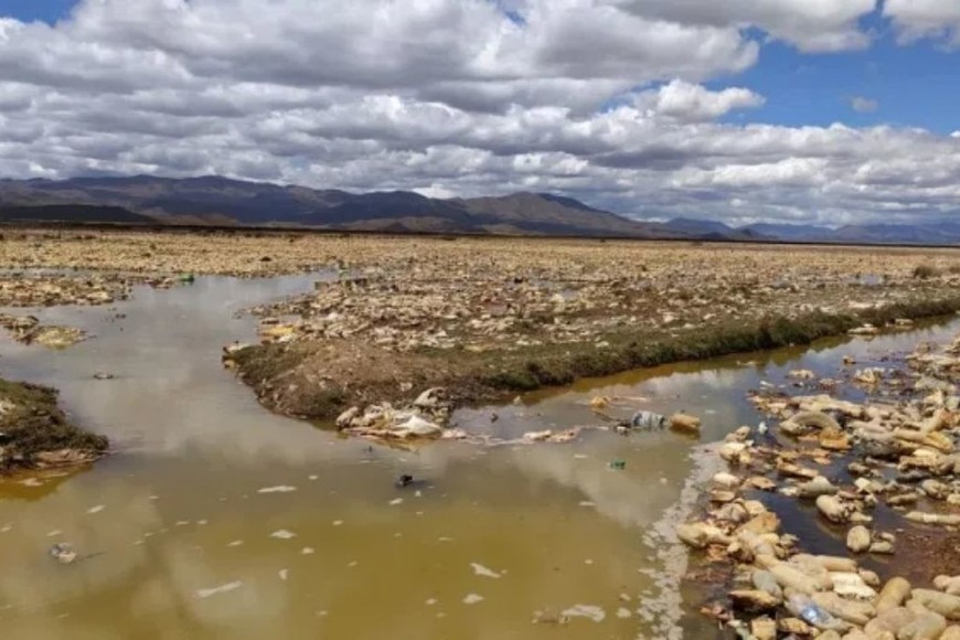 ELLITORAL_366092 | Gentileza