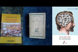 ELLITORAL_361142 |  El Litoral A Francisco del Puerto la historia lo ha olvidado, la literatura no.
