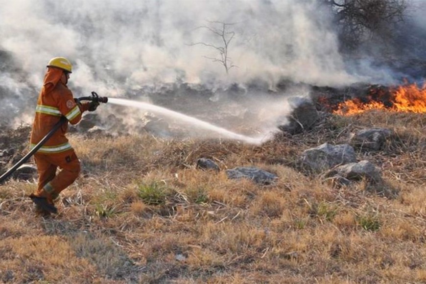 ELLITORAL_339453 |  Gentileza