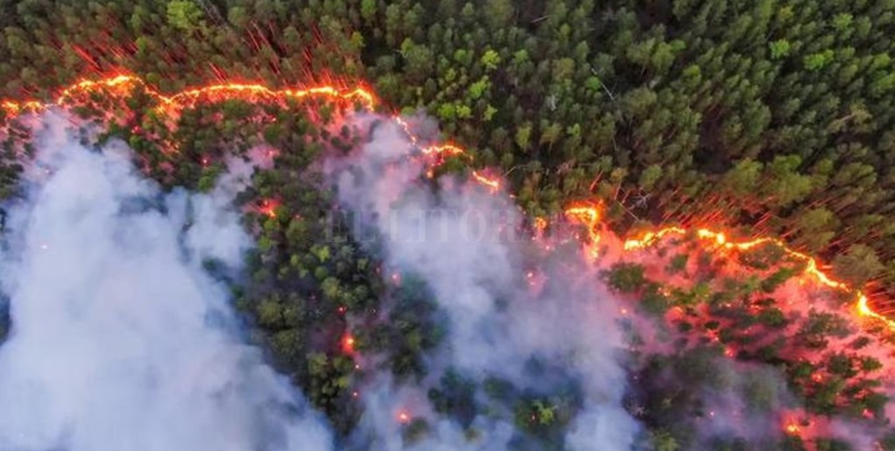 Reportan incendios forestales sin control en Siberia