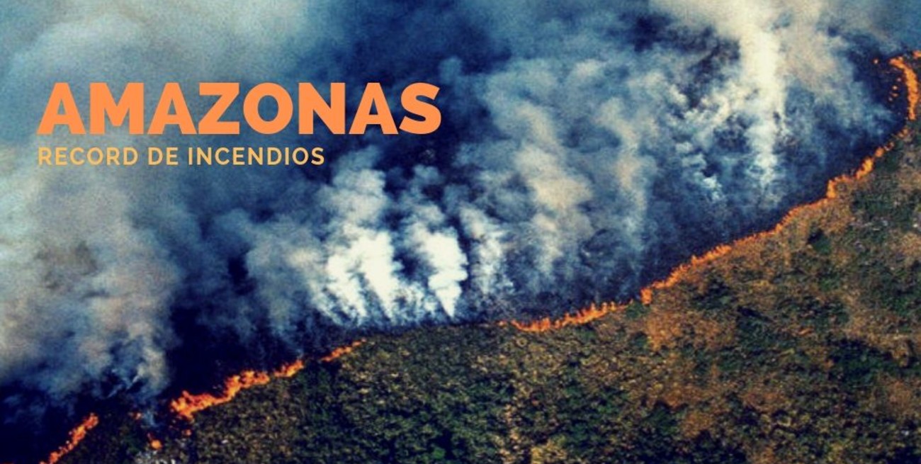 Infografía: los impactantes números de los incendios en el Amazonas