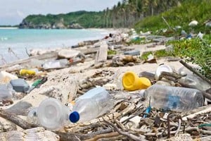 ELLITORAL_315564 |  Imagen ilustrativa