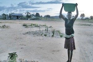 ELLITORAL_303741 |  Gentileza Viviana Zucarelli Esfuerzo de todos los días. Una mujer busca agua con una palangana en una perforación hecha en la ciudad de Kuito
