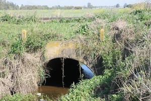 Flavio Raina Archivo - Imagen ilustrativa