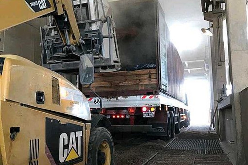 ELLITORAL_346852 | Gentileza