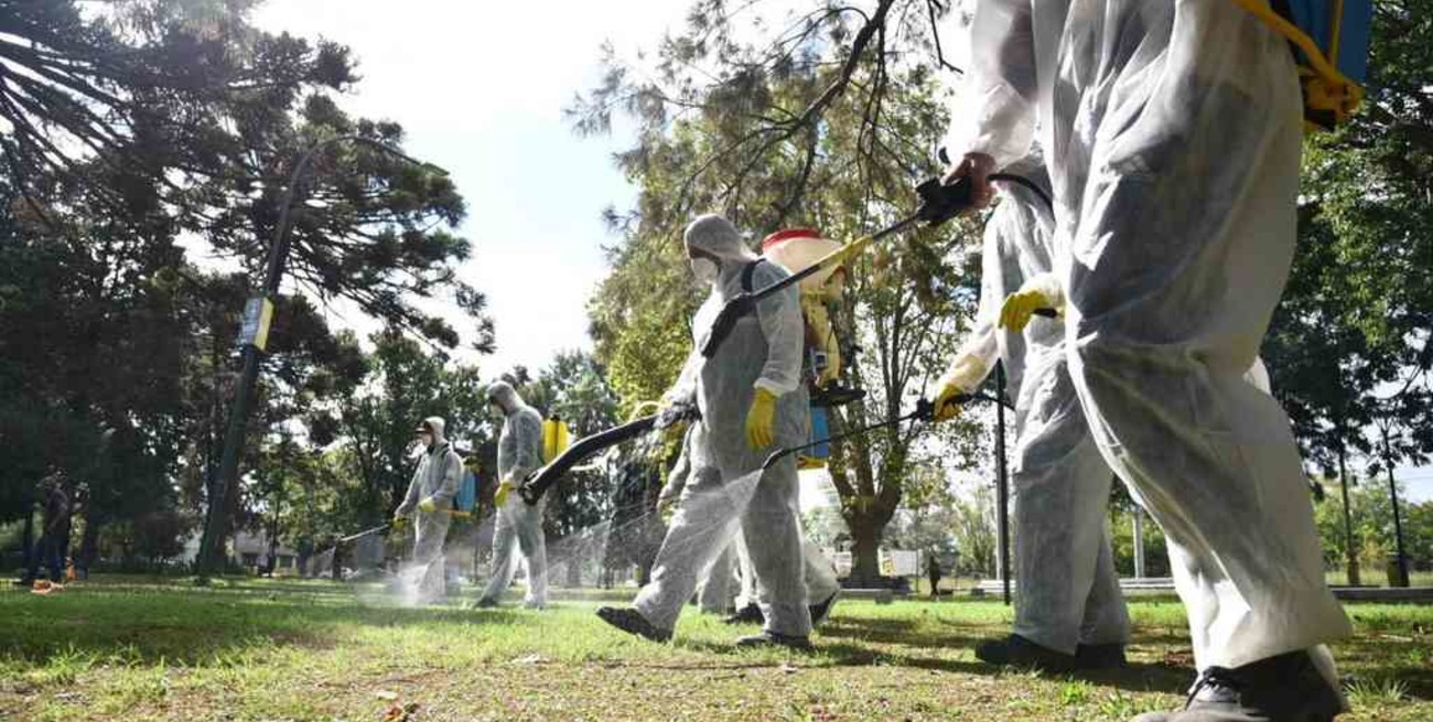 Ascienden a 75 los casos de dengue en La Plata