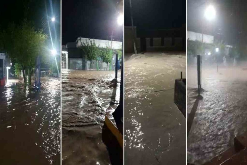 ELLITORAL_359468 | Gentileza