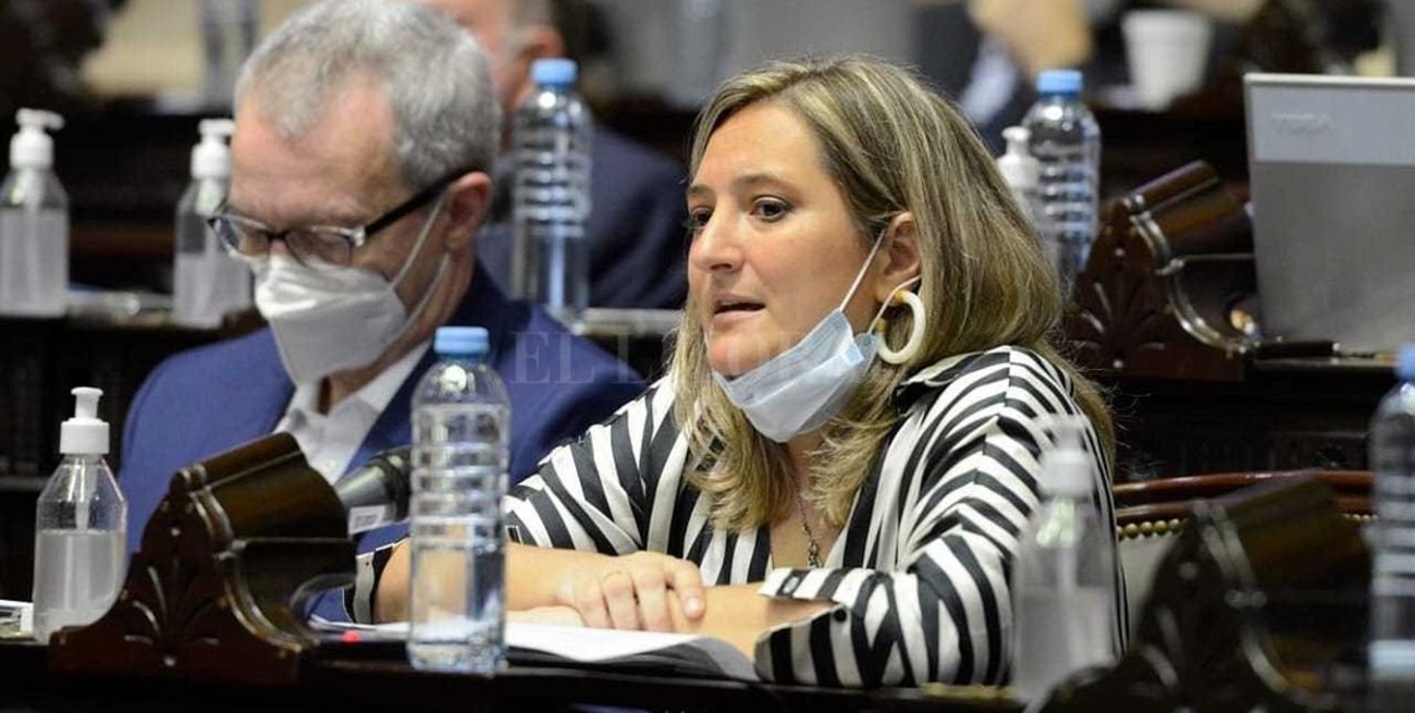 Lucila Lehmann: "El Gobierno se queda con la mitad de la comida de los argentinos"