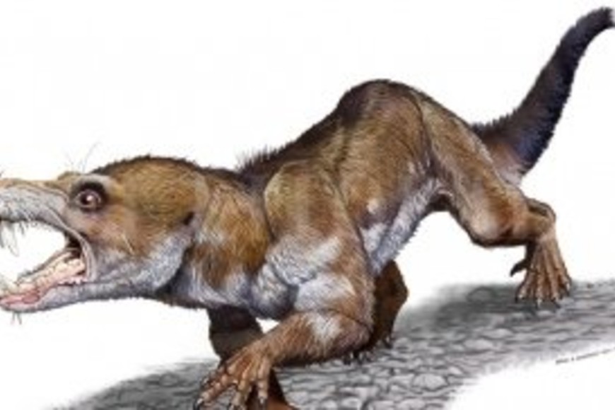 ELLITORAL_259653 |  Telam