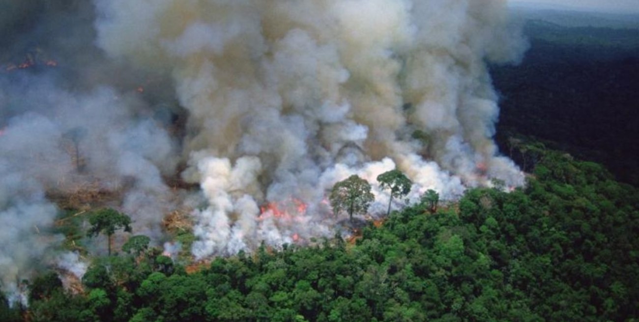 El Amazonas podría estar empeorando el cambio climático