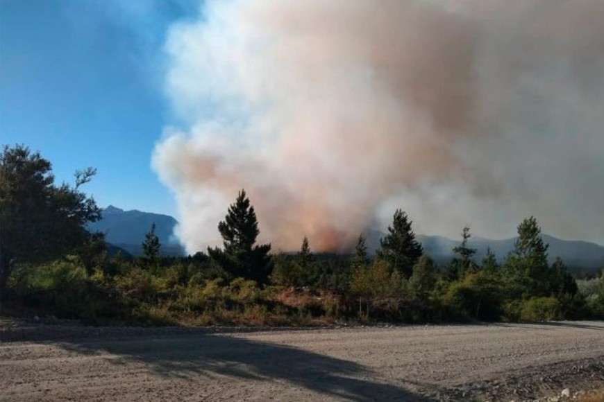 ELLITORAL_352183 |  Gentileza