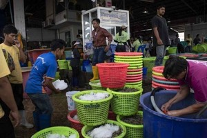 ELLITORAL_345735 |  Gentileza Mercado de mariscos en Tailandia. Uno de ellos se convirtió en un nuevo foco de infecciones.