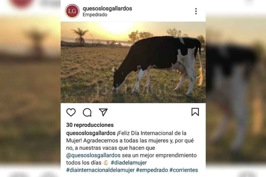 ELLITORAL_361289 |  Gentileza El posteo de la empresa correntina.