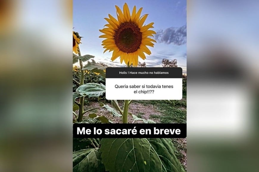 ELLITORAL_353512 |  Gentileza