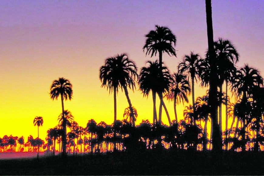 ELLITORAL_250535 |  Turismo Entre Ríos El Palmar atrae con sus paisajes y horizontes infinitos. De amaneceres y atardeceres de ensueño. Con la promoción del gobierno nacional se podrá ingresar dos días pagando solo uno.